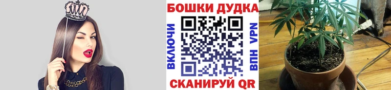 Бошки марихуана планчик Жуковский